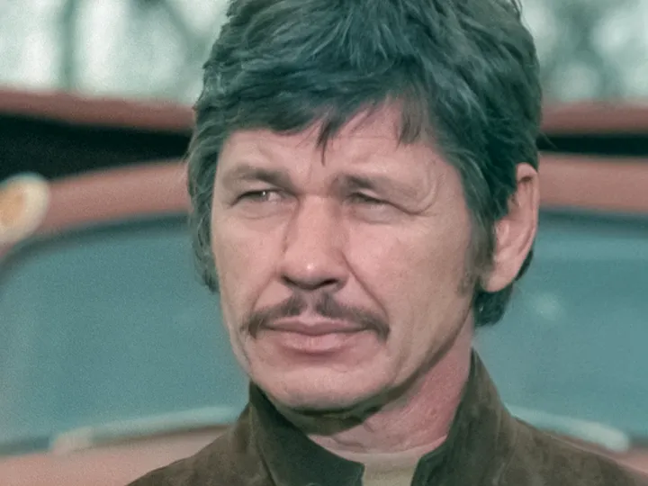 Чарльз Бронсон Чарльз Бронсон